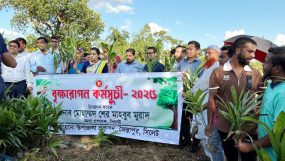 জৈন্তাপুরে বৃক্ষ রোপন কর্মসূচি -২০২৫ এর উদ্বোধন করেন-জেলা প্রশাসক