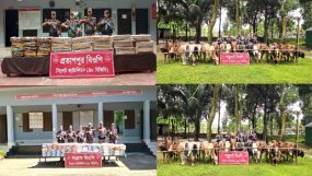সীমান্তে অভিযানে চালিয়ে ফের ১ কোটি ২০ লক্ষাধিক টাকার চোরাই পণ্য আটক