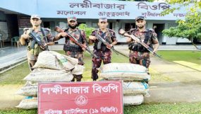 সিলেট সীমান্তে বিপুল পরিমাণ ভারতীয় পণ্য জব্দ