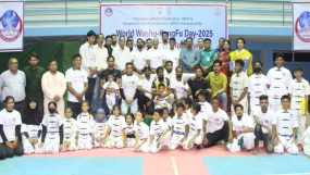 বর্ণাঢ্য আয়োজনে সিলেটে বিশ্ব উশু কুংফু দিবস পালিত