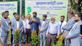 শাহজালাল ইসলামী ব্যাংকের বৃক্ষরোপণ কর্মসূচি