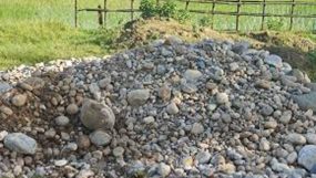 সিলেটে ধানক্ষেতেও মিলছে ‘লুট হওয়া’ পাথর