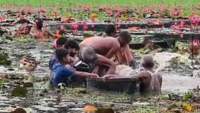 কাপাসিয়ায় বিলে শাপলা ফুল তুলতে গিয়ে পানিতে ডুবে দুই যুবকের মৃত্যু