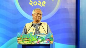 মৎস্য সম্পদ বৃদ্ধিতে ঐক্যবদ্ধভাবে কাজ করার আহ্বান প্রধান উপদেষ্টার