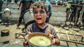 আমার ছোট্ট ছেলে জানে না ফলের স্বাদ কেমন : গাজার এক মা