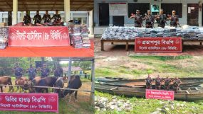 সিলেট সীমান্তে কোটি টাকার ভারতীয় পণ্যে জব্দ