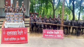 গোয়াইনঘাট সীমান্তে ৪ দিনে ৭ কোটির চোরাচালান পণ্য জব্দ