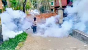 সিলেটে একমাসে ১২১ জনের ডেঙ্গু, টানা তিন মাস মশকনিধন অভিযান চালাবে সিসিক