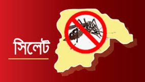 ১৩ দিনে সিলেটে যে ভাইরাসে আক্রান্ত অর্ধশত মানুষ