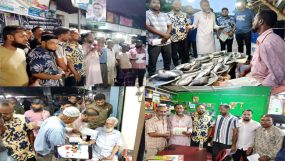 ধানের শীষকে ভোট দিয়ে বিজয়ী করলে আপনাদের জামাতা তারেক রহমান প্রধানমন্ত্রী হবেন-খান জামাল