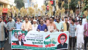 খন্দকার আব্দুল মুক্তাদিরের সমর্থনে জেলা ও মহানগর বিএনপির অঙ্গ ও সযোগী সংগঠনের প্রচার মিছিল