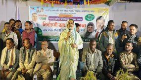 ইলিয়াস আলীর পরিবার মনে করে ধানের শীষে ভোট দিন : লুনা