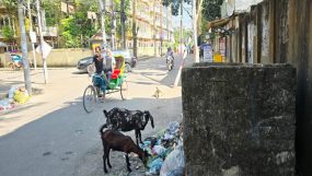 বর্জ্য ব্যবস্থাপনায় চরম অব্যবস্থা সিলেট সিটি কর্পোরেশনের ১২ নম্বর ওয়ার্ড