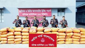 বিজিবির অভিযানে ৭৪ লাখ টাকার ভারতীয় চোরাচালান পণ্য জব্দ