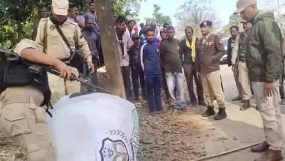 সিলেটে উড়ানো বেলুন গিয়ে পড়ল ভারতে, ব্যাপক আতঙ্ক