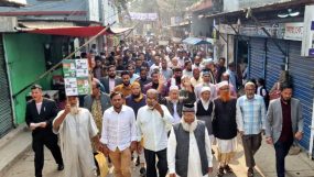 শিবগঞ্জ ও সোনারপাড়ায় দাঁড়িপাল্লার সমর্থনে গণসংযোগ