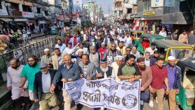 নগরে দাঁড়িপাল্লার সমর্থনে প্রবাসীদের গণসংযোগ