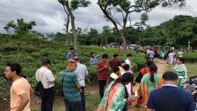 ঈদের ছুটিতে প্রকৃতিপ্রেমীদের মিলনমেলা সিলেটের চা-বাগান এলাকায়