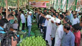 দেশে সিন্ডিকেটের মাধ্যমে আর বাজার নিয়ন্ত্রিত হবে না: বাণিজ্য মন্ত্রী মুক্তাদির