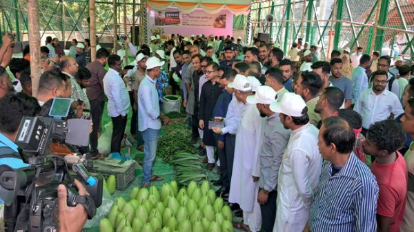 দেশে সিন্ডিকেটের মাধ্যমে আর বাজার নিয়ন্ত্রিত হবে না: বাণিজ্য মন্ত্রী মুক্তাদির