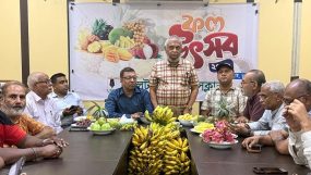 যত যা-ই বলুক, দ্রুতই কিছু দেশের শ্রমবাজার খুলবে: প্রবাসী কল্যাণ মন্ত্রী আরিফুল হক